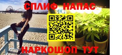 амф Коммунар
