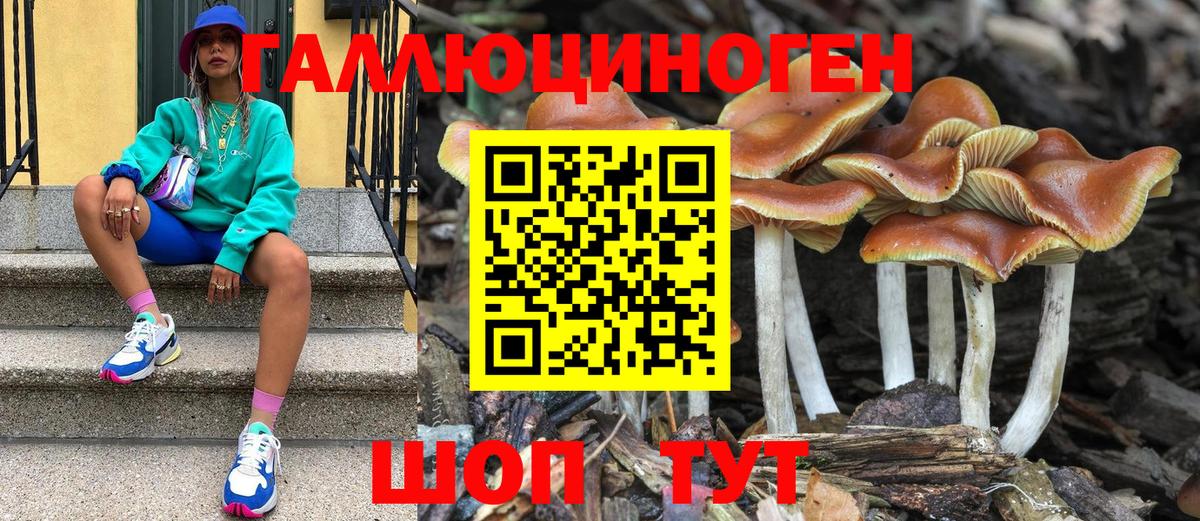Канаш  Галлюциногенные грибы Psilocybine cubensis  купить   Вход с VPN 